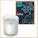 Bloom of LOTUS �t���O�����X�L�����h���@���[�J���v�^�X 150g