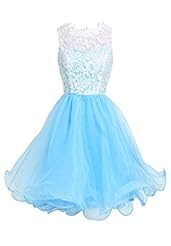 A-line Lace Short Organza Homecoming Dress/Prom Dress 