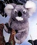 Baby Koala 6 Plush Stuffed Animal Toy