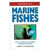Pocket Expert/Marine Fishies