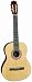 Classical Nylon String Acoustic Guitar