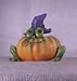 Small Frog Pumpkin Wear
