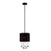 Eurofase 16033-016 Penchant 1-Light Pendant, Black
