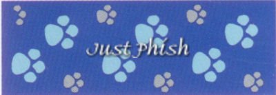 Dog It Style Nylon Leash/Comfort Handle Footloose Blue/Blue Medium 5/8IN. X 6ft. - Dog It D0488