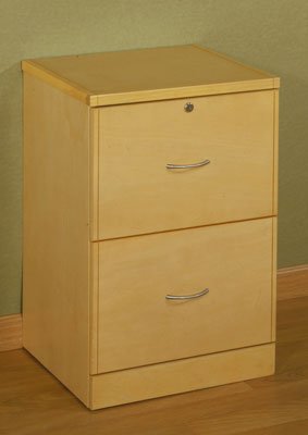 Kitchen: Studio RTA 2 Drawer Vertical File Cabinet  Natural