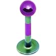 16 Gauge Purple Green Striped Titanium Tragus Labret Monroe