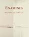 Enamines: Webster's Facts and Phrases