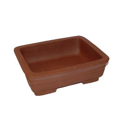20cm High Quality Fine Clay Bonsai Pot - 3