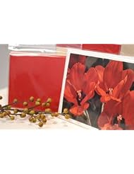 Buy Clear Cello Cellophane Bags - Resealable Lip N Tape - 4 x 6 - 100 Bags