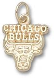 Chicago Bulls Solid 14K Gold Bull Logo 3/8'' Pendant