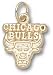 Chicago Bulls Solid 14K Gold Bull Logo 3/8'' Pendant