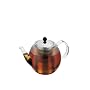Bodum Shin Cha 17-Ounce Glass Tea Press with Stainless-Steel Filter