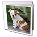 Dogs Bulldog - British Bulldog Puppy - Greeting Cards-12 Greeting Cards with envelopes