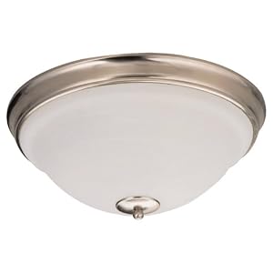 Sea Gull Lighting 79058BLE-962 Serenity Single-Light Flourescent Close-To-Ceiling Fixture,... by 