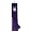 Northwestern Wildcats