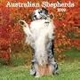 Australian Shepherds 2009 Wall Calendar 12" X 12"