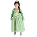 Shrek the Third Princess Fiona Costume