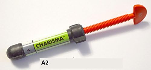 Charisma Heraeus Kulzer A2 Syringe Light Cure Universal Dental Composite 1 X 4g Syuringe