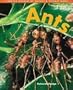 Ants (Denver Museum Insect Books)