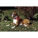 Boxer Floor Mat
