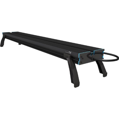 Aquatic Life 36-Watt Light Aquarium Light, 36-Inch, White/Blue/Purple Aquatic Life 36-Watt Light Aquarium Light, 36-Inch, White/Blue/Purple