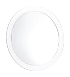 Danielle - Miroir grossissant x 5 à ventouses - Diamètre 23 cm - Acrylique (Import Grande Bretagne)