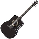 Washburn D10S Acoustic Guitar, Black
