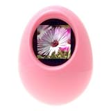 Electronics : TeckNet 1.5" EGG SHAPED DIGITAL PHOTO FRAME CHRISTMAS GIFT- Store up to 107pcs photoes - Pink