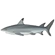 Huge 5' Underwater Sea Shark I Wall Mural Sticker Decal