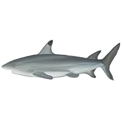 Huge 5' Underwater Sea Shark I Wall Mural Sticker Decal