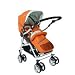 31tE5Ft0VpL. SL75  Bumbleride Flyer Stroller   Spice