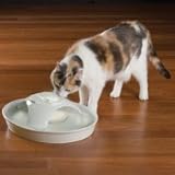 Continuously Filtered Water Ceramic Pet Drinking Fountain