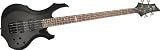 ESP LTD Standard F104 Electric Bass Guitar (Black)