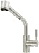 Satin/Brushed Nickel Kitchen Pull Out Sprayer Faucet