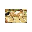 BREYER BUCKSKIN PAINT