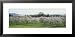 Cherry Trees in an Orchard, Mission Peninsula, Traverse City, Michigan, USA Framed Art Poster Print by Panoramic Images, 31x15