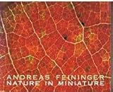 Nature in miniature