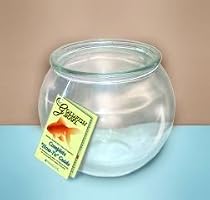 plastic fish bowl