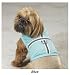 Pet Supplies : BLUE - SMALL - Mesh Walking Harnesses