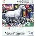 Adobe Premiere 4.2 for Windows