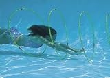  : Underwater Swimming Hoops