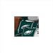 Philadelphia Eagles Sidelines Sham