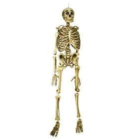 Good Tidings 4832575 Realistic Hanging Skeleton Halloween Decoration 6.5 Feet Tall