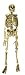 Good Tidings 4832575 Realistic Hanging Skeleton Halloween Decoration 6.5 Feet Tall