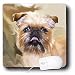 Dogs Brussels Griffon - Brussels Griffon Portrait - Mouse Pads