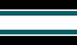 San Jose Sharks NHL Team Color Wallpaper Border