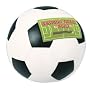 Season Ticket Fund Money Box