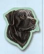 Black Lab Labrador Sticky Notes Notebook