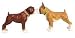 Kissing Boxer Boxers Salt and Pepper Shakers ~NEW~