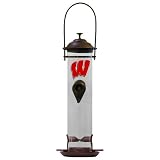 Wisconsin Badgers Bird Feeder